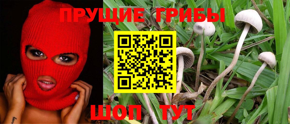 Псилоцибиновые грибы ЛСД  Вход с VPN  Ливны 