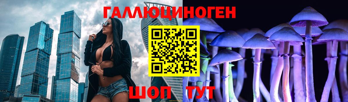 Галлюциногенные грибы Psilocybe Ливны